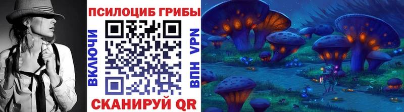 mega маркетплейс  Нея  Галлюциногенные грибы Cubensis 